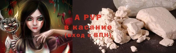 прущие грибы Абдулино