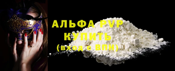 прущие грибы Абдулино