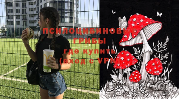 дмт Абинск