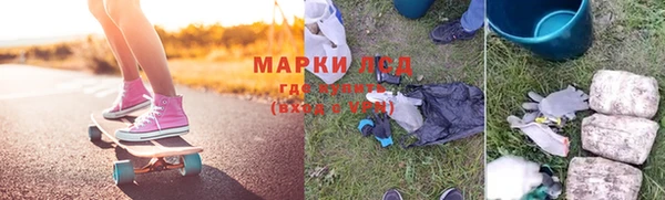 прущие грибы Абдулино