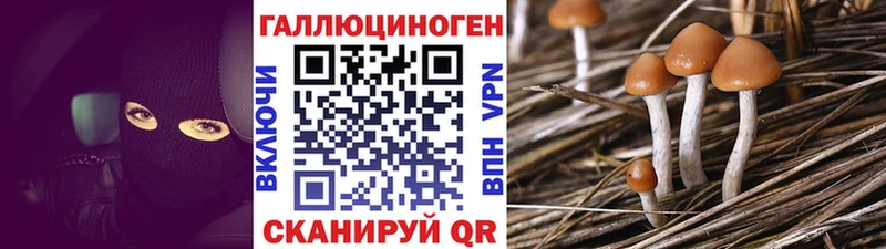 Галлюциногенные грибы мухоморы  купить   Сусуман 